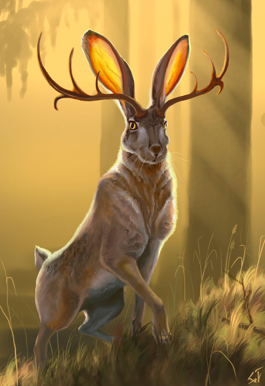 Jackalope